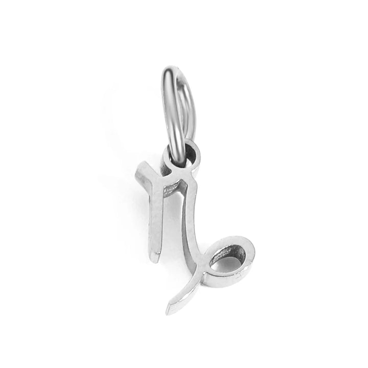 Charm signe Capricorne en acier inoxydable argent – pendentif horoscope raffiné