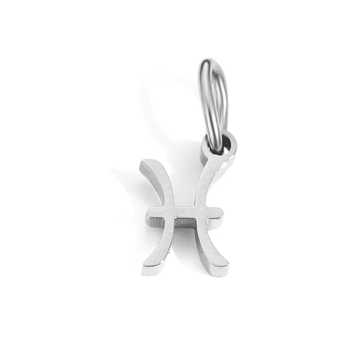 Charm signe Poissons en acier inoxydable argent – pendentif zodiac élégant